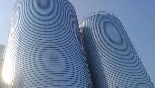 甘德2座混凝土高架卷板仓